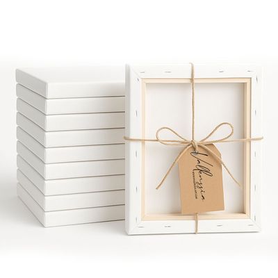 Blank Canvases Set